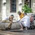 Cuba: 65 años de inmovilismo
