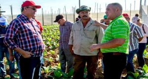 Rollero, el más impopular de los ministros en Cuba
